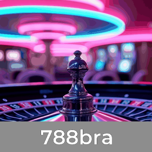 788bra: Onde a Segurança e o Serviço Profissional se Destacam